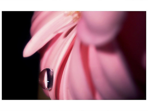 422958 (a): :1024x768